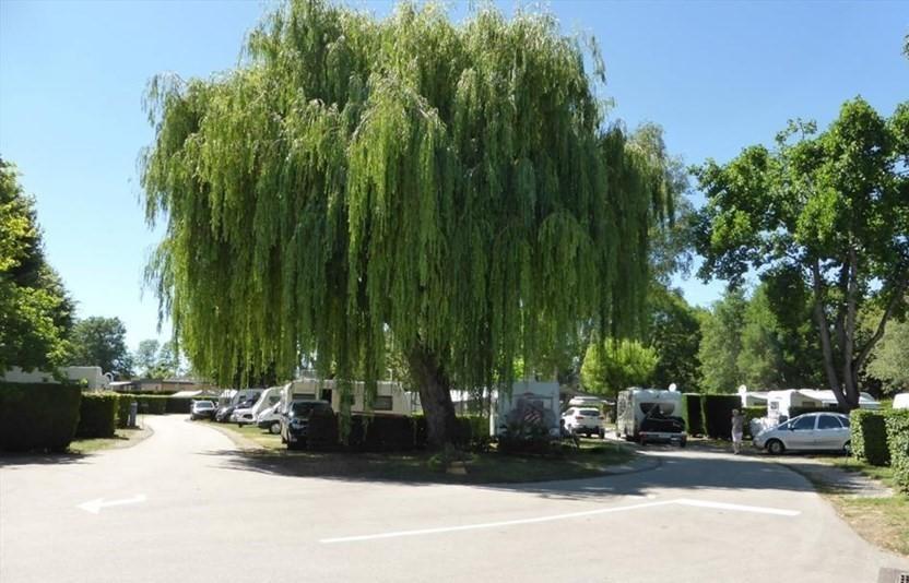Camping Du Paquier Fane Chagny (Saone-et-Loire)