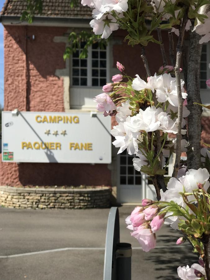 Du Paquier Fane Camping Chagny (Saone-et-Loire)